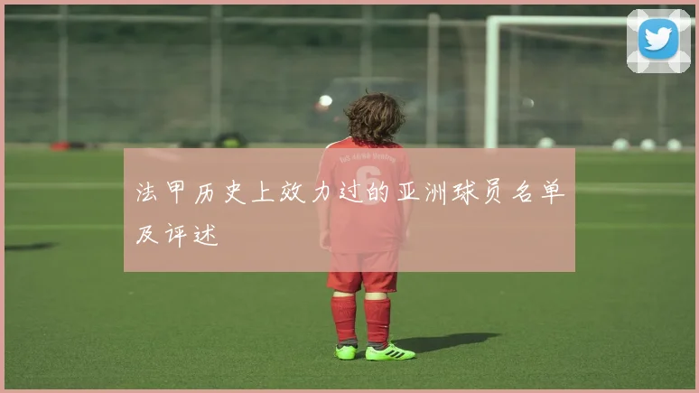法甲历史上效力过的亚洲球员名单及评述