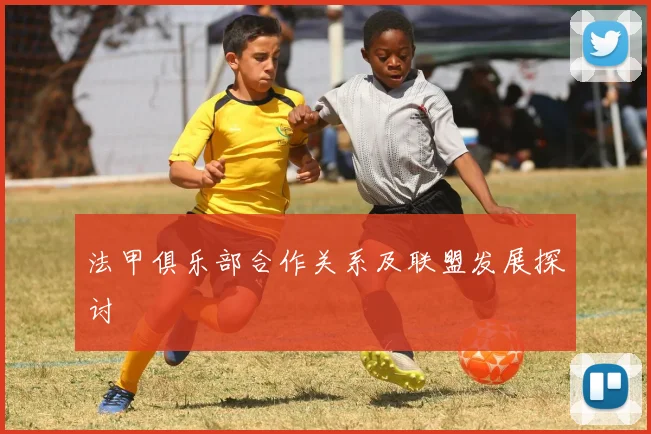法甲俱乐部合作关系及联盟发展探讨