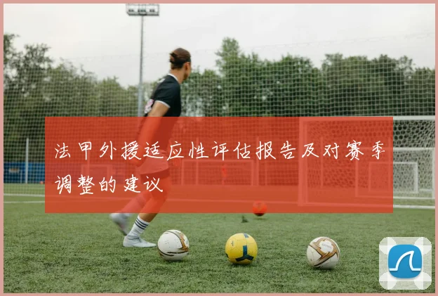 法甲外援适应性评估报告及对赛季调整的建议
